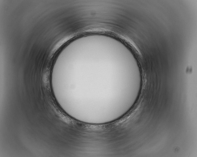 X0000091500874200708161232