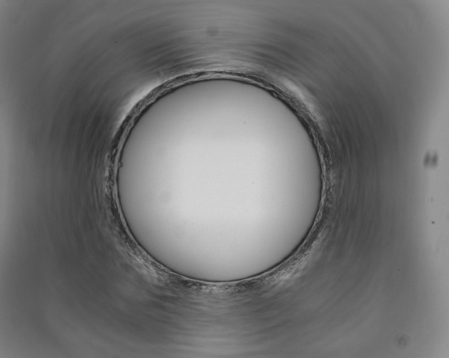 X0000091500875200708161232
