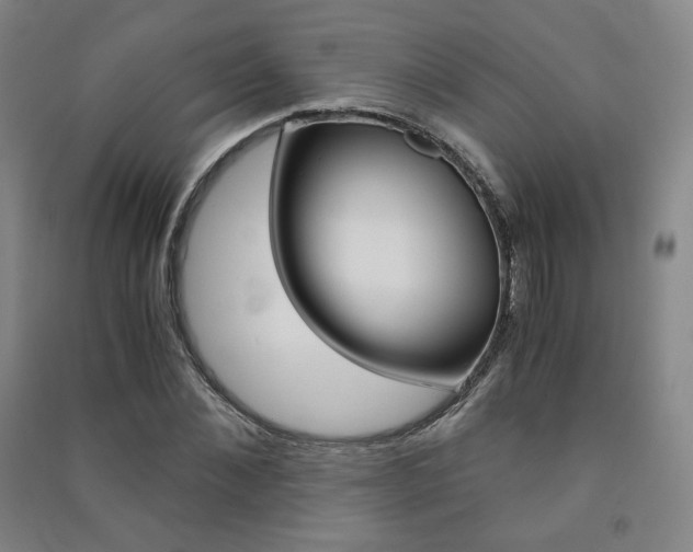 X0000091500876200708161232