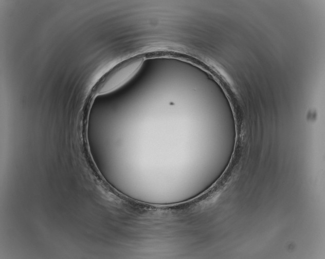 X0000091500877200708161232