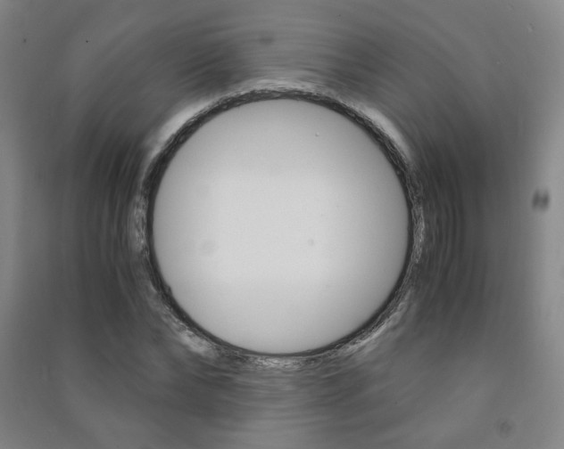X0000091500878200708161232
