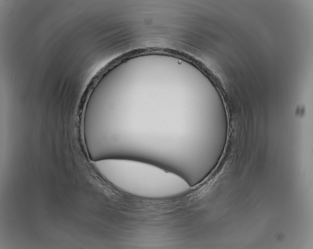 X0000091500879200708161232
