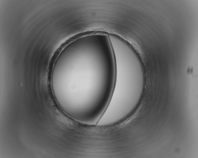 X0000091500880200708161232