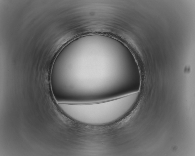 X0000091500881200708161232