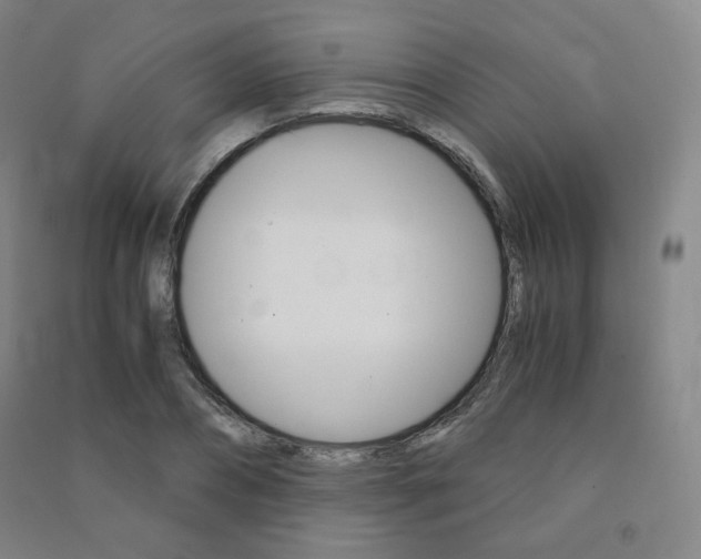 X0000091500882200708161232