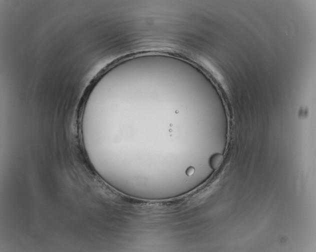 X0000091500883200708161232