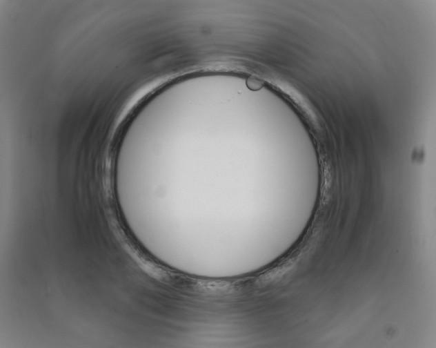 X0000091500886200708161232