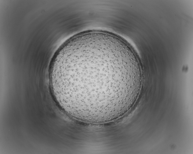 X0000091500887200708161232