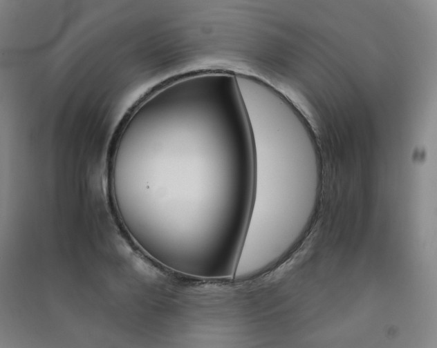X0000091500888200708161231