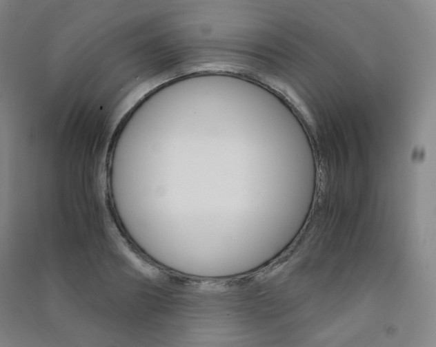X0000091500890200708161231