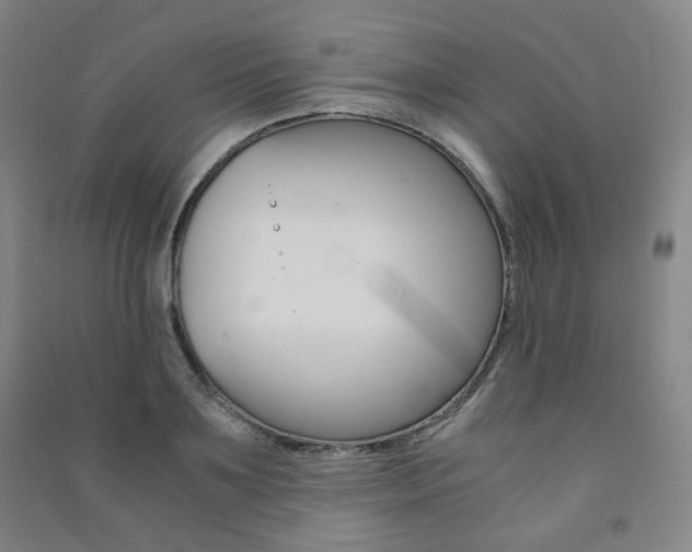 X0000091500891200708161231