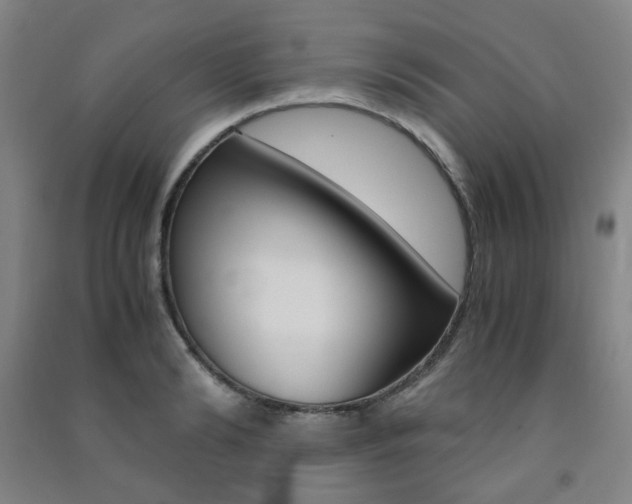 X0000091500894200708161231