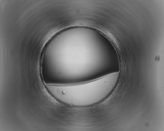 X0000091500896200708161231