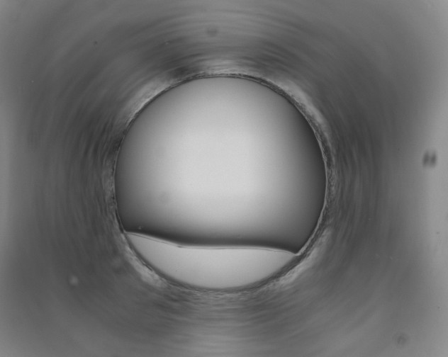 X0000091500897200708161231