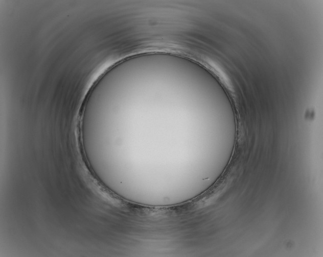 X0000091500899200708161231