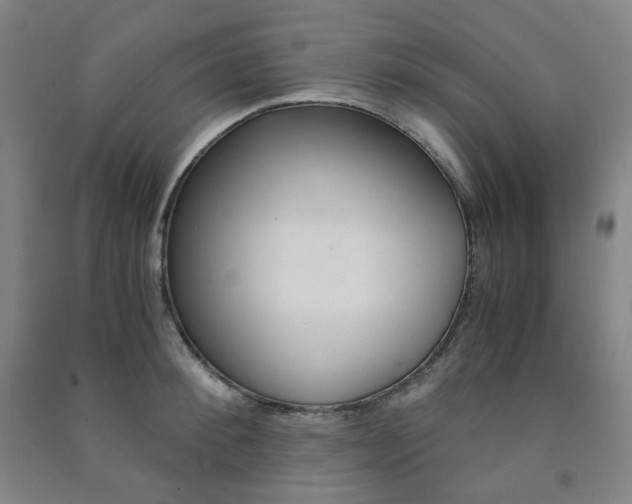 X0000091500900200708161231
