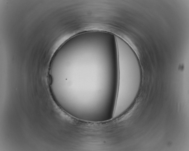 X0000091500901200708161231