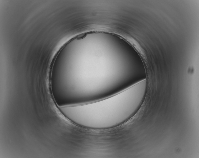 X0000091500904200708161231