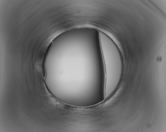 X0000091500905200708161231