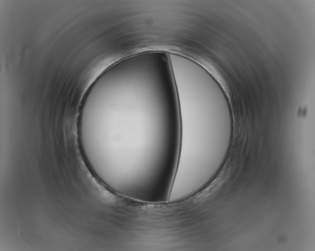 X0000091500906200708161231