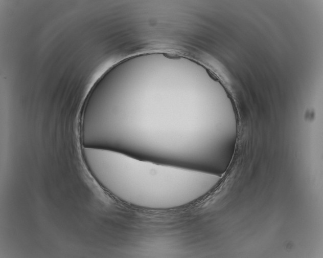 X0000091500907200708161231