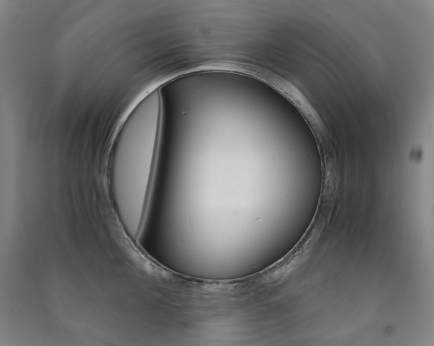 X0000091500908200708161231