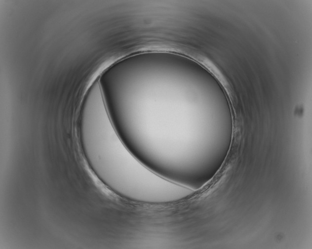 X0000091500909200708161231