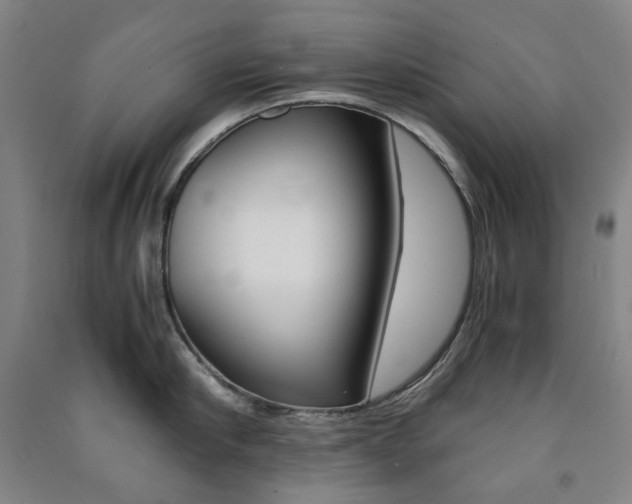 X0000091500910200708161231