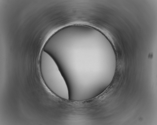 X0000091500911200708161231