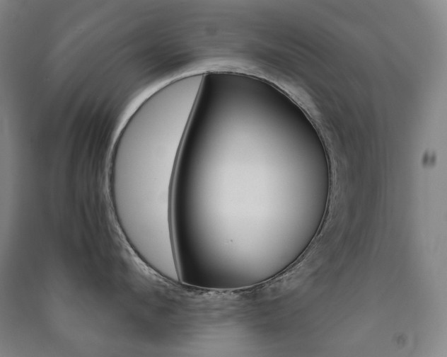 X0000091500912200708161231