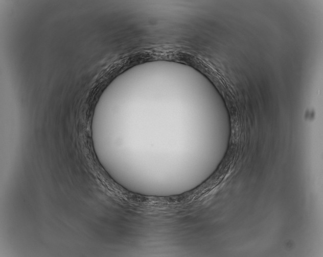 X0000091500913200708161231