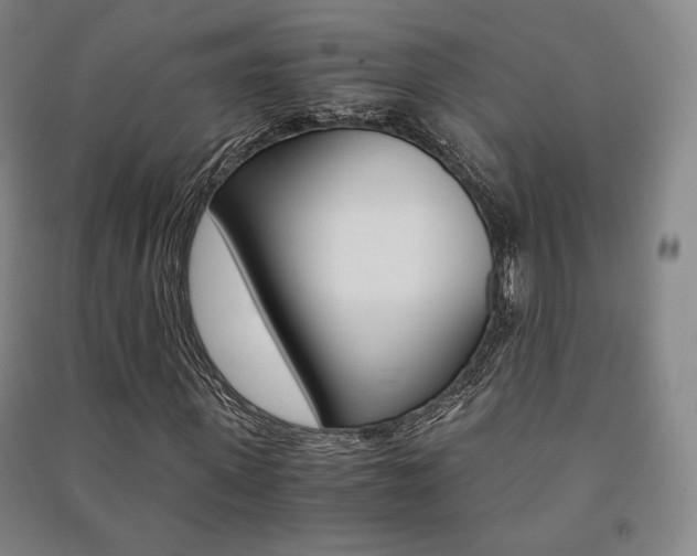 X0000091500915200708161231