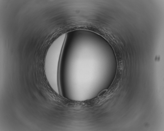 X0000091500916200708161231