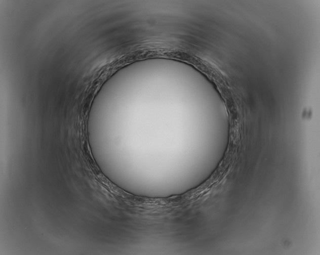 X0000091500917200708161231
