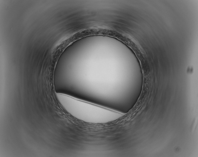 X0000091500919200708161231
