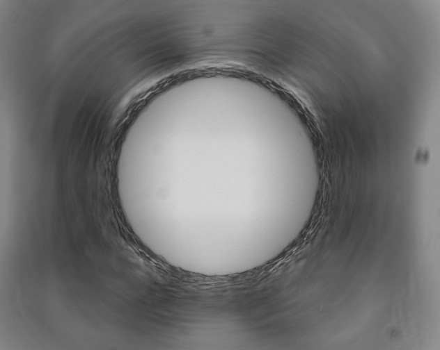 X0000091500920200708161231