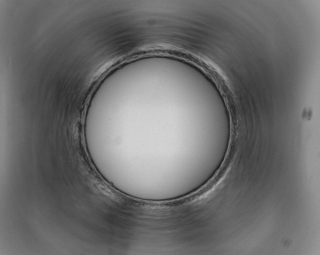 X0000091500921200708161231