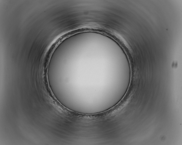 X0000091500923200708161231