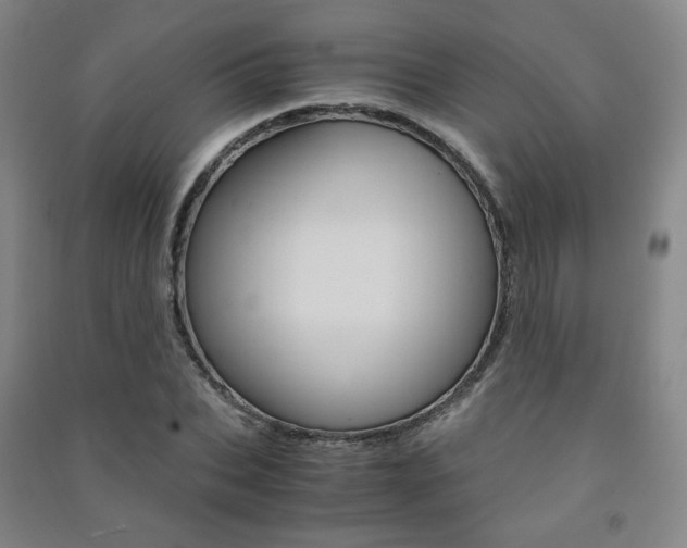 X0000091500927200708161231