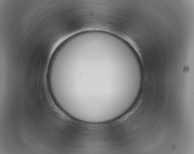 X0000091500928200708161231