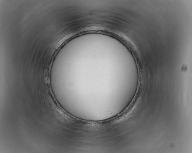 X0000091500929200708161231