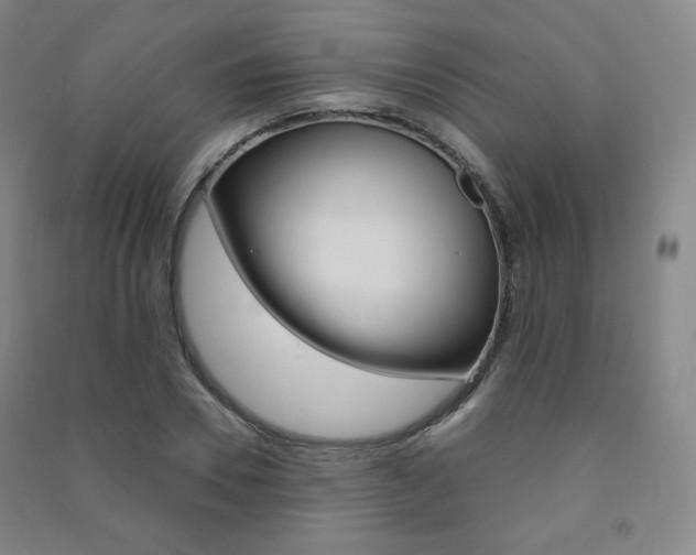 X0000091500930200708161231