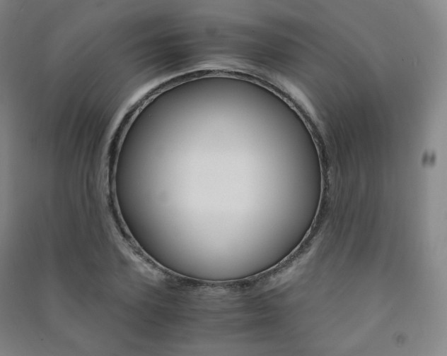 X0000091500931200708161231