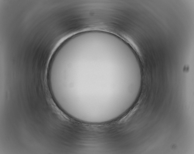 X0000091500932200708161231