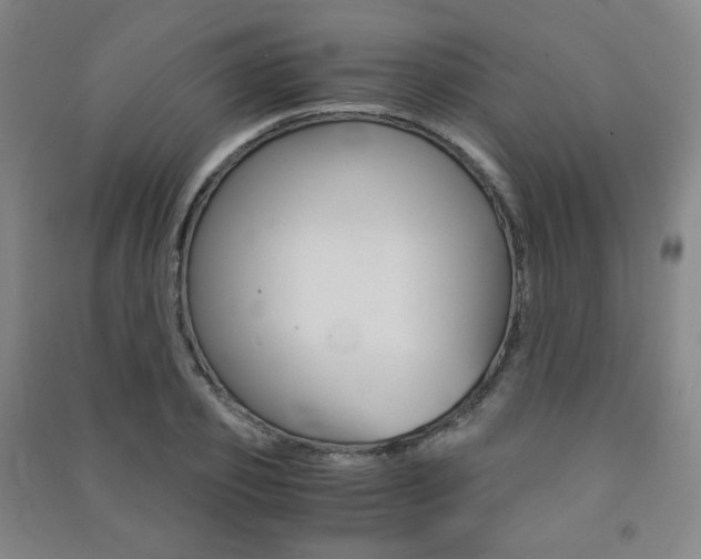 X0000091500933200708161231