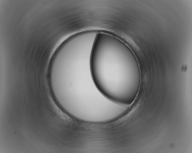 X0000091500934200708161231
