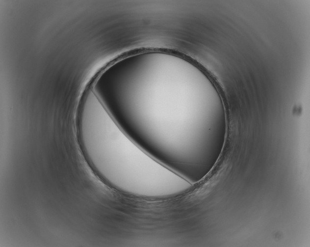 X0000091500935200708161231
