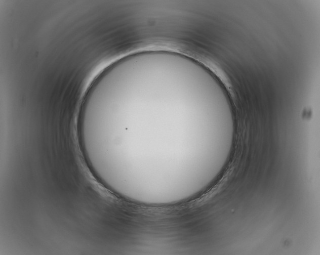 X0000091500936200708161231
