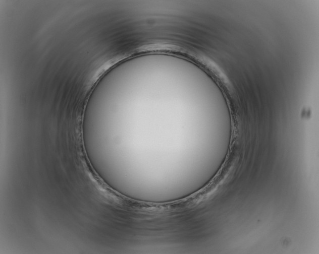 X0000091500937200708161231