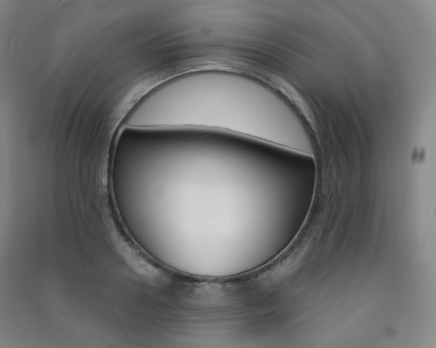 X0000091500938200708161231